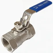 kogelkraan 1 duim RVS 316L met vergrendelbare hendel